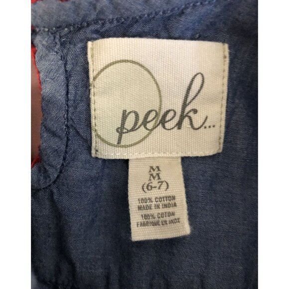 Peek Size 6/7 Blue Chambray Embroidered Dress - Picture 3 of 5